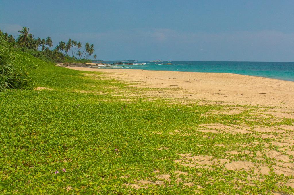 Amba Boutique Hotel Hikkaduwa Bagian luar foto